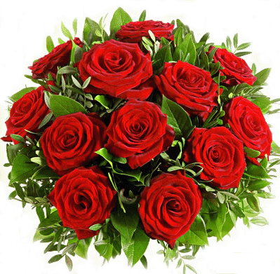 Wszystkiego najlepszego życzy Jasia..