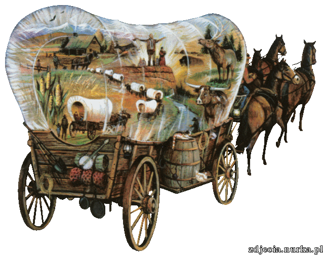 ###  DLA   CIEBIE  ###      OSTATNI  #  TABOR