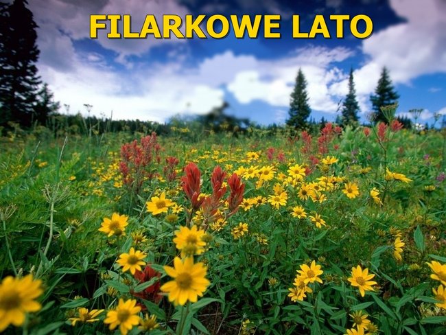 FILARKOWE LATO