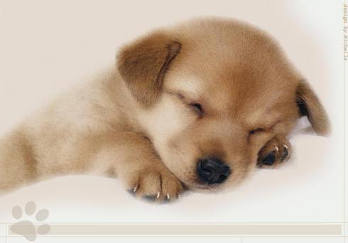 Dla najfajnieszych koleżanek na N/K