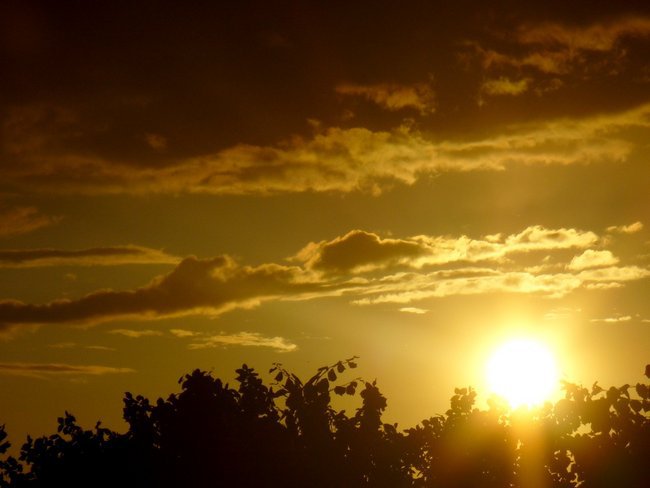 MOJA NATURA ;) OD JOLI ;*