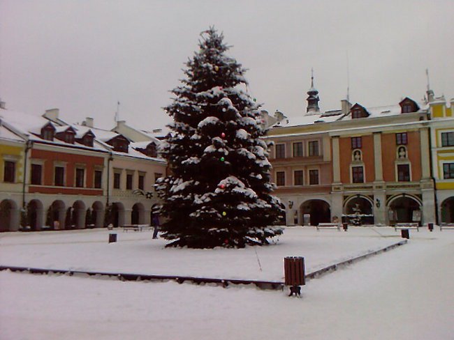 ALFRED TOMICZEK ZAMOŚĆ 19.02 2010.R