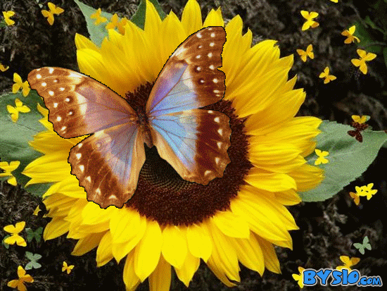 ##   MOTHER   OF   MINE   ###