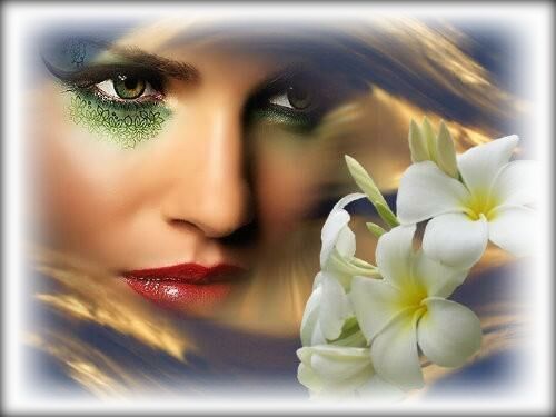 Colorado - Pachnący jaśmin