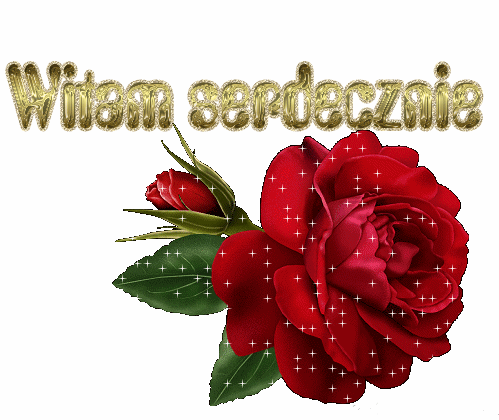 DLA     PANI   ALI  Z    REDY-    PRZYJACIÓŁKI   Z   NK.