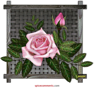 Z pozdrowieniami dla przyjaciół z nk.