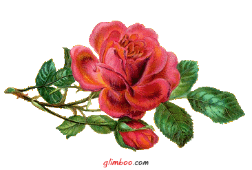 To dla Was kochani.Pozdrawiam:*