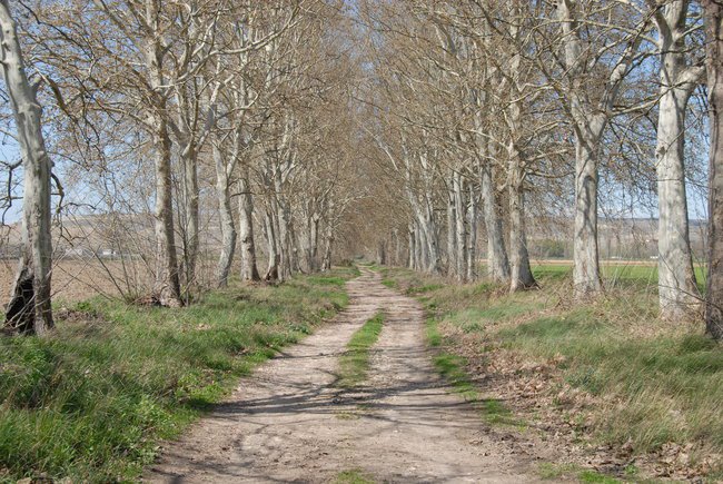 Życie jest piękne