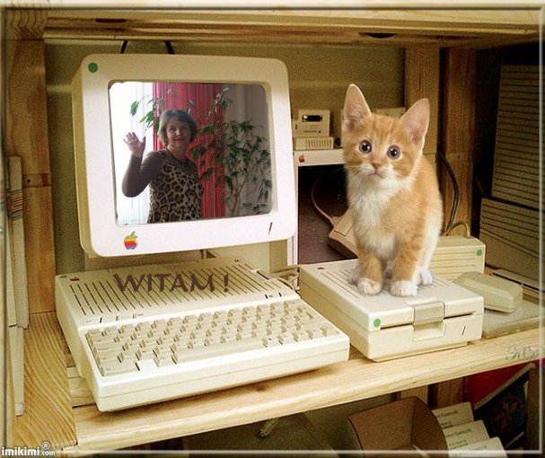 DEDYKACJADLA  ODWAŻNYCH  MILUSIŃSKICH