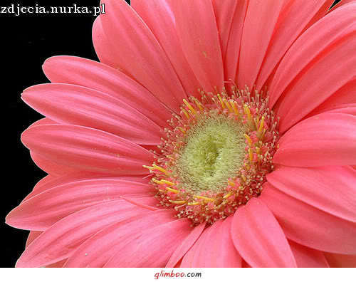 ##  Dla   Ciebie  ####    Slodkie   Buziaki  Posylam  ###