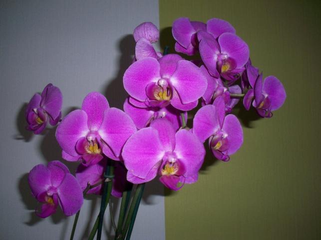 ..JESTESCIE KOCHANI...