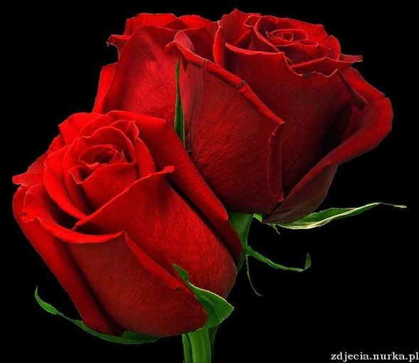 Czy to była miłość