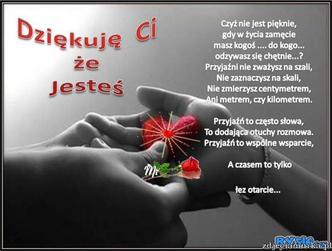 DAJ CYGANCE JEDEN GROSZ