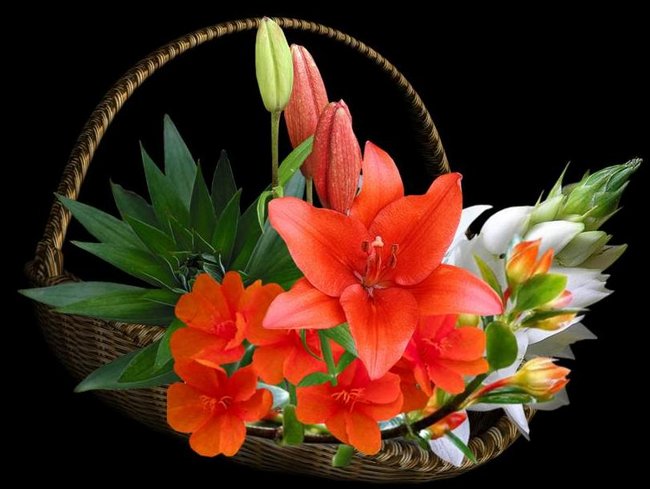 DLA NASZEGO SŁONECZKA NA URODZINKI...