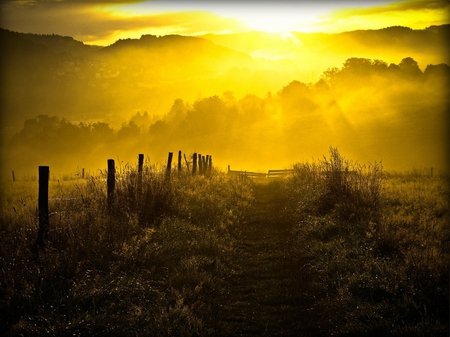 Musica - la mia liberta