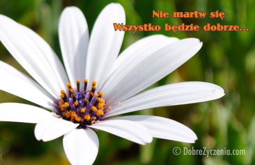 UŚMIECHNIJ SIĘ !!!Będzie dobrze! :)