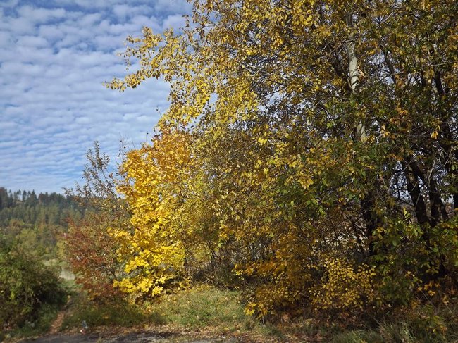 JESIENNIE W KARKONOSZACH