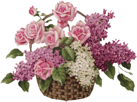 WITAM CIĘ SERDECZNIE.