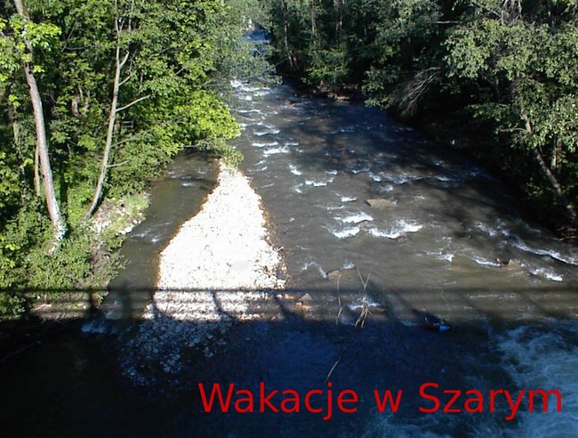 Wakacje w Szarym