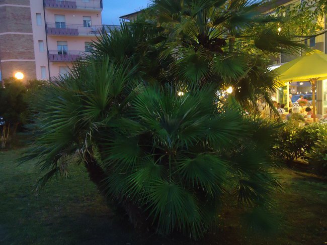 DLA CIEBIE KOCHANIE...