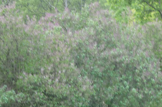 poczuć  zapach wiosny:)