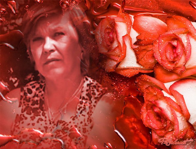 dla wszystkich przyjaciół