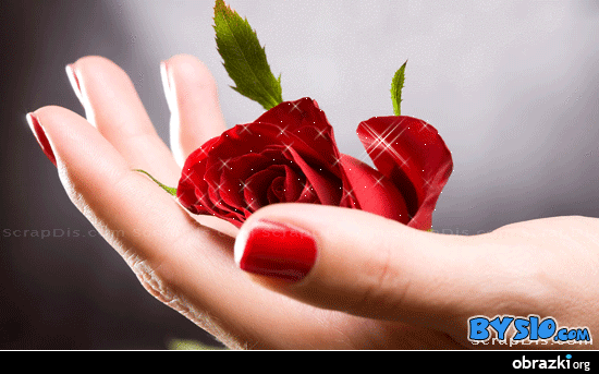 Moi przyjaciele w kwiatach