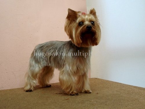 Salon HUGO - Klienci