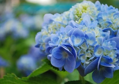 Który patrzysz na mnie .......