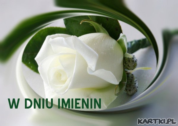 Krysiu w dniu Twoich imienin !!!