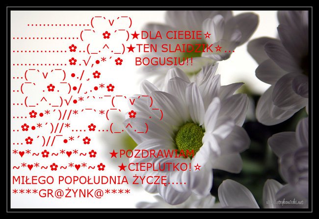 Dla Bogusi Wspaniałej Przyjaciółki!!