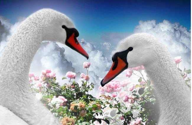 Kis my kłyi - Pocałuj Mnie  Kochanie