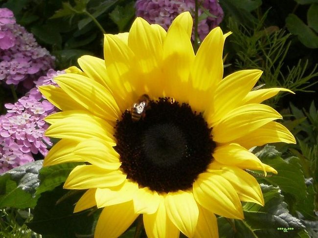 ŻYCIE MA TAK WIELE BARW