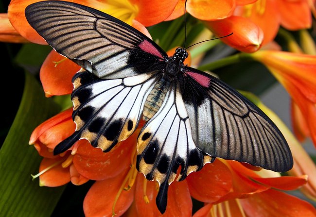 W OCZEKIWANIU NA PRAWDZIWĄ WIOSNĘ.