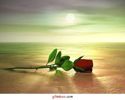 ZAPISZ  WSZYSTKIE   PIOSENKI O MIŁOŚCI....