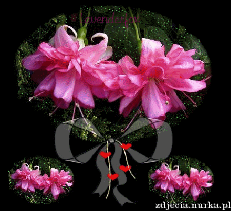 Dla   mojej  Przyjaciolki    Marysi  ##    Buziole   Pszczolko