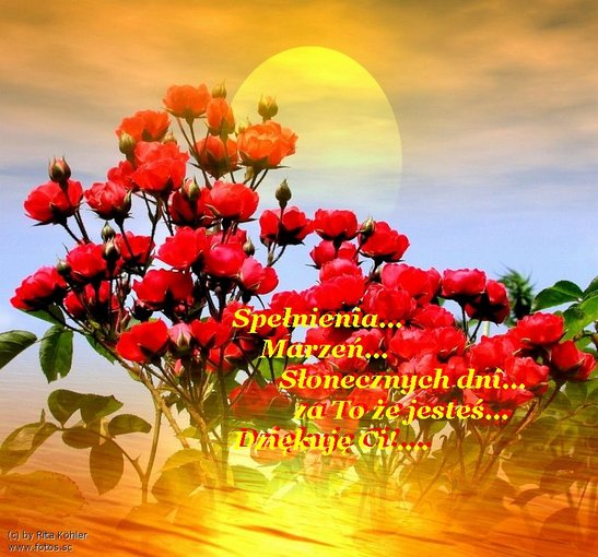 Z CAŁEGO SERCA ŻYCZĘ CI