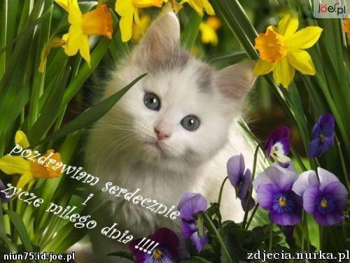 dla Magdusi dla ciebie Skarbeczku mój kochany