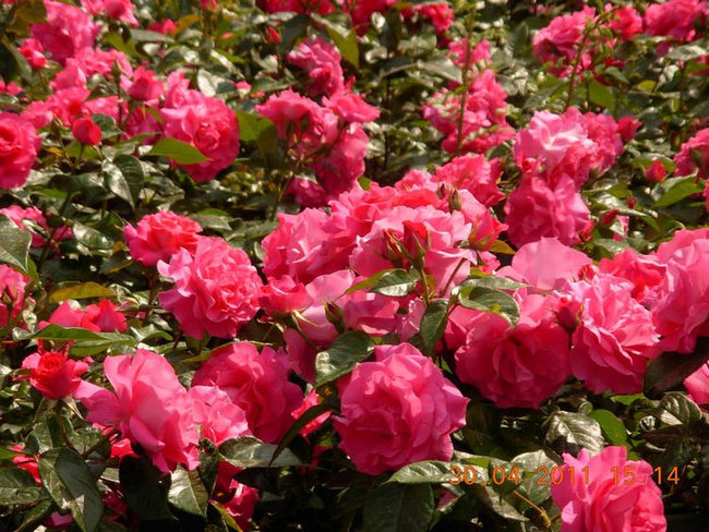 WSZYSTKIEGO NAJLEPSZEGO GRAŻYNKI  100 LAT!