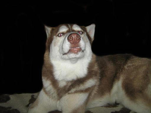 Dla dalekiego Ryszarda...Krysia