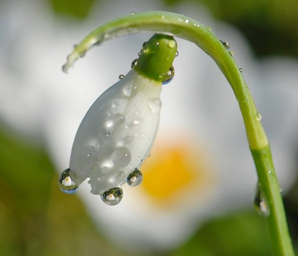 Wszystko dla twej miłości...
