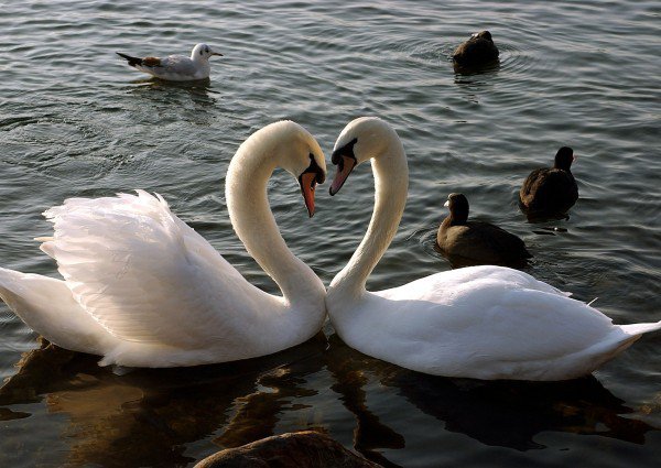 dla MAGDUSI DLA KOCHANIE MOJE KOCHAM