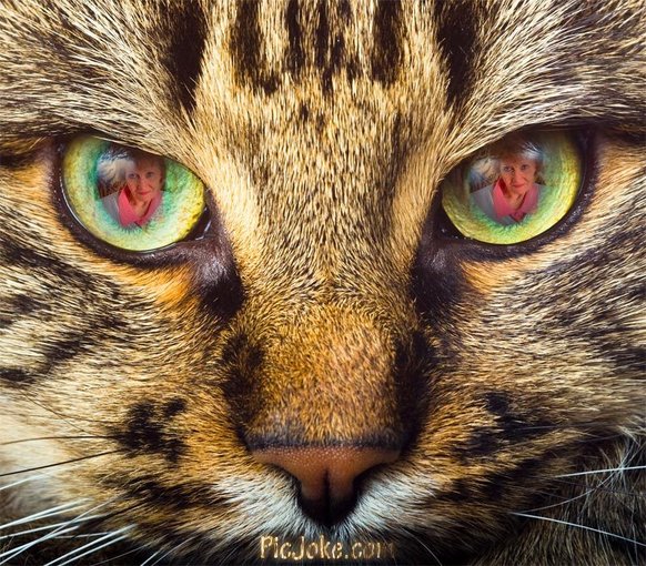 Z POZDROWIENIAMI (A)LINKA:)