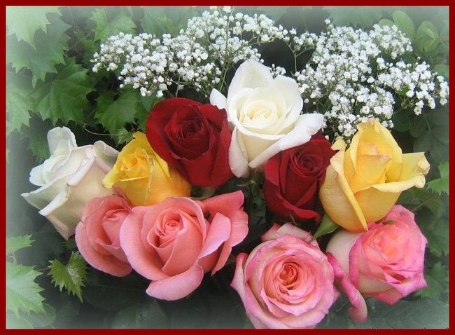 W DNIU   URODZIN   DLA   PRZYJACIELA JÓZKA  Z  NIEMIEC