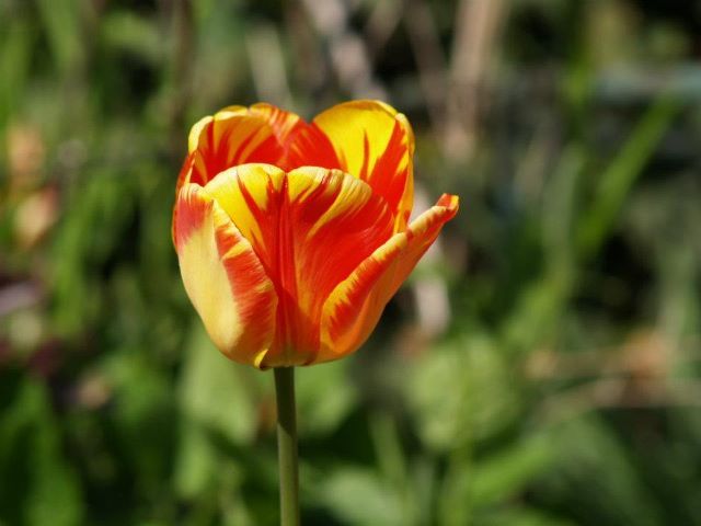 Z SERDECZNYMI POZDROWIENIAMI -ŁUCJA