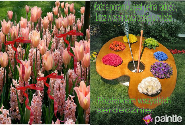 Wiosna już jest !!!