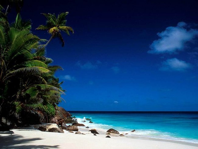 W sercu mym pozostaniesz.