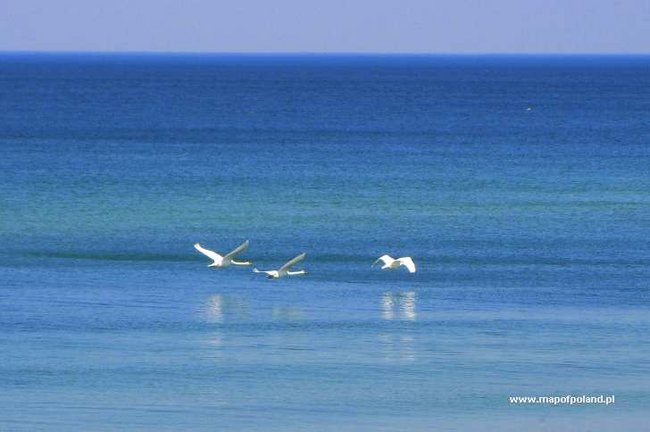 Venus-- To nie był błąd