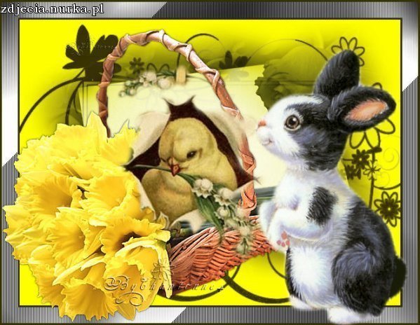 ##    Wesolych  Swiat  Wielkanocy  ##