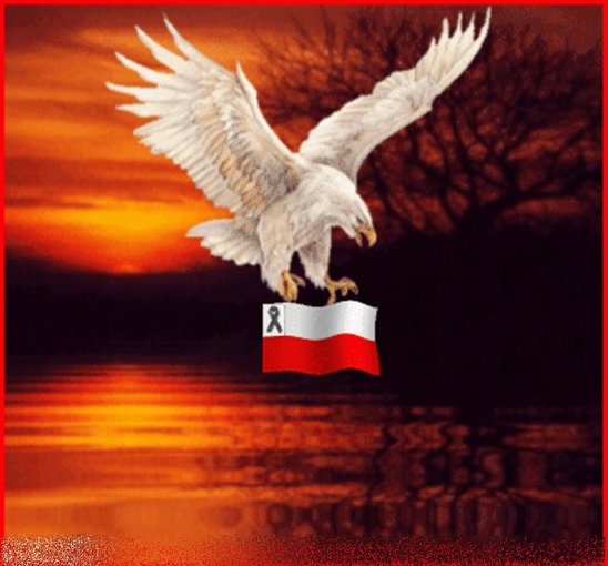 Tragedia Smoleńska- II rocznica.